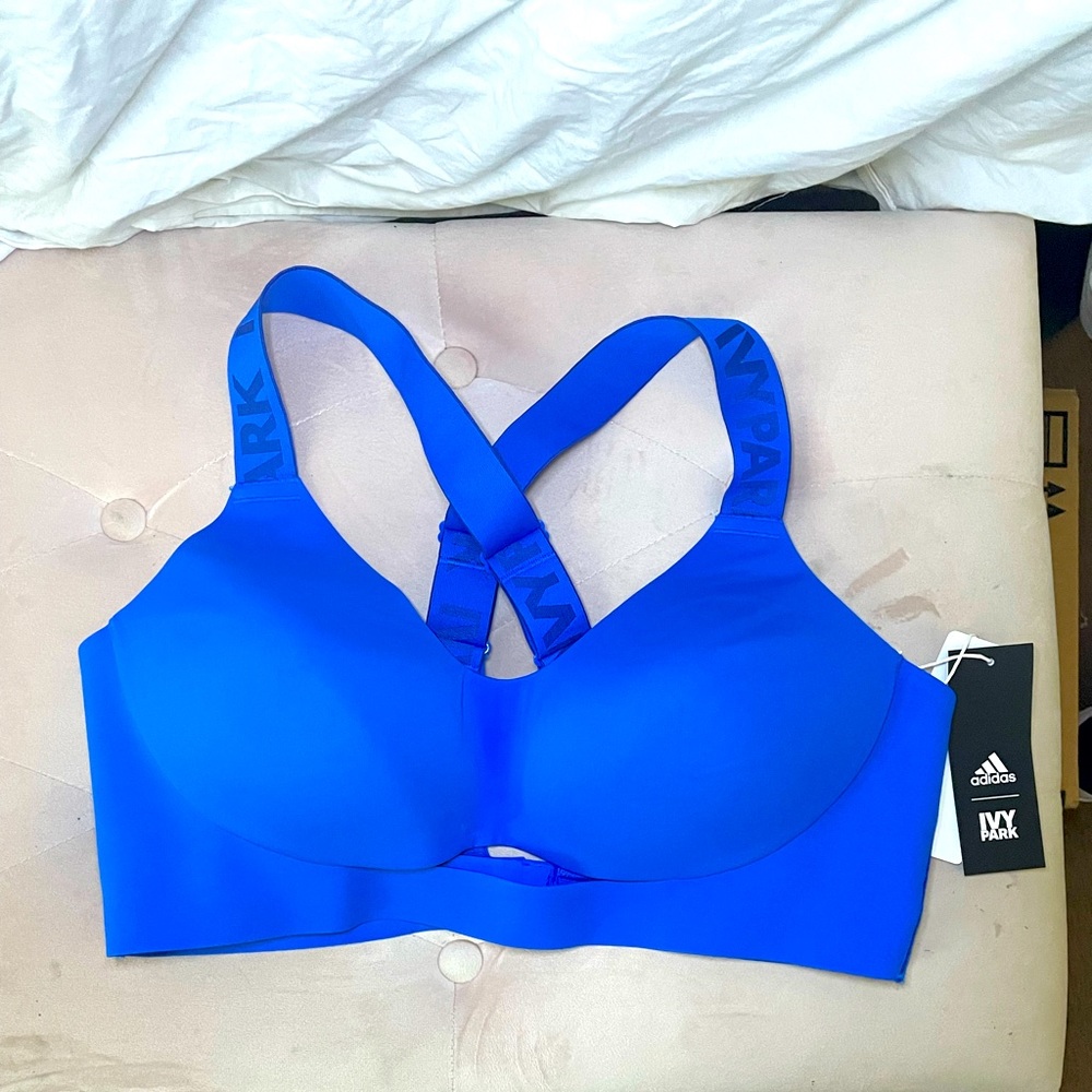 Blue Ivy Park Sports Bra